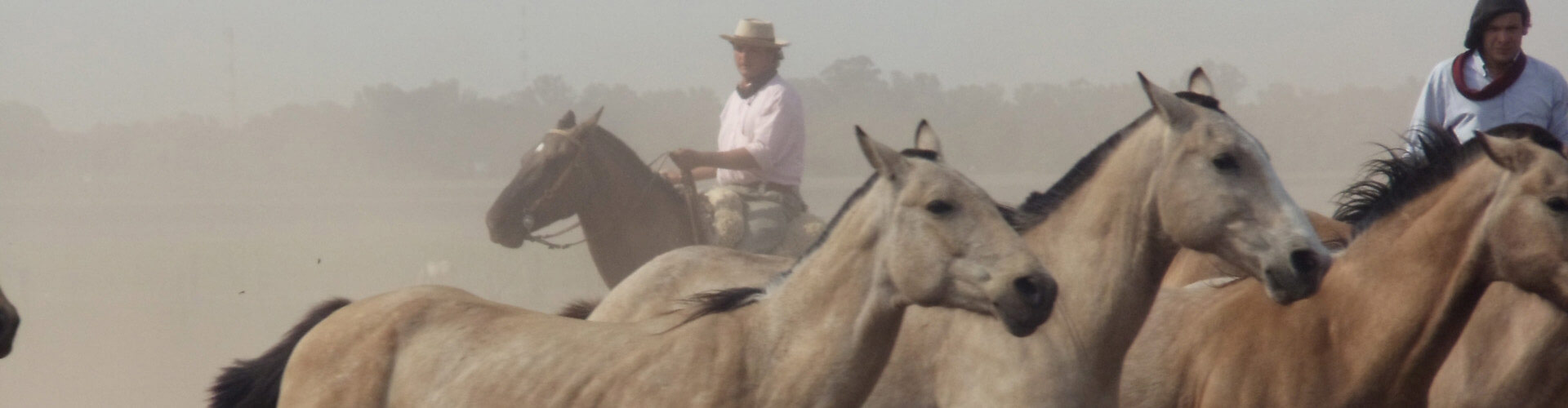 Gaucho Tour